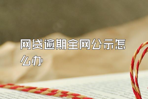 网贷逾期全网公示怎么办