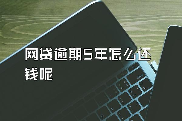 网贷逾期5年怎么还钱呢