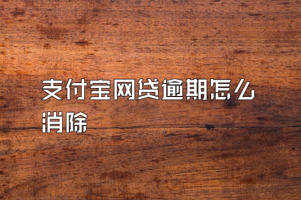 支付宝网贷逾期怎么消除