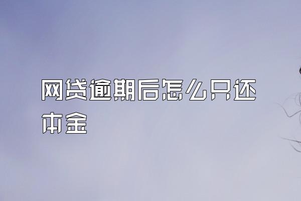 网贷逾期后怎么只还本金