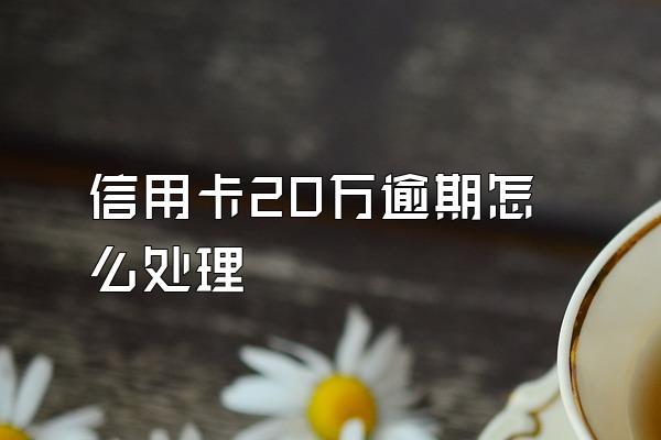 信用卡20万逾期怎么处理