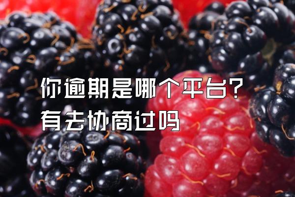 你逾期是哪个平台?有去协商过吗