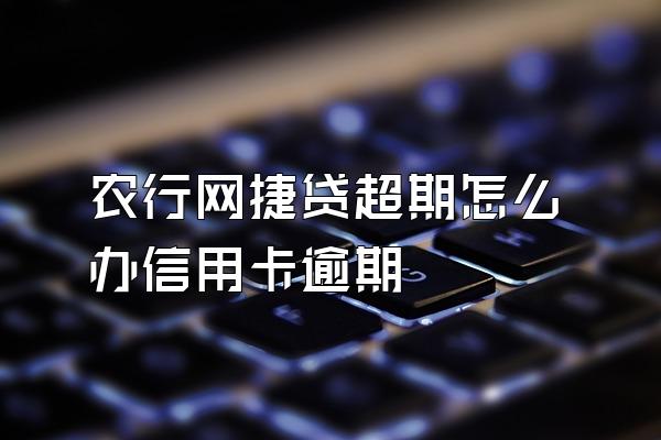 农行网捷贷超期怎么办信用卡逾期