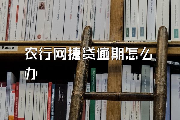 农行网捷贷逾期怎么办