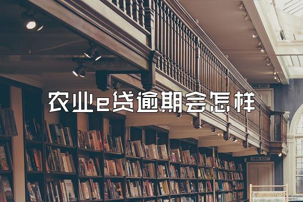 农业e贷逾期会怎样