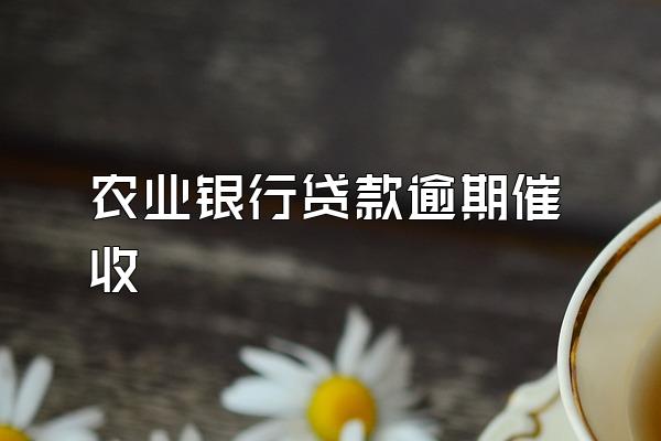 农业银行贷款逾期催收