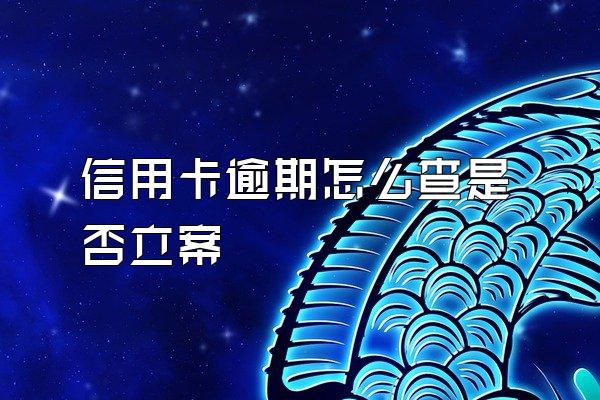 信用卡逾期怎么查是否立案