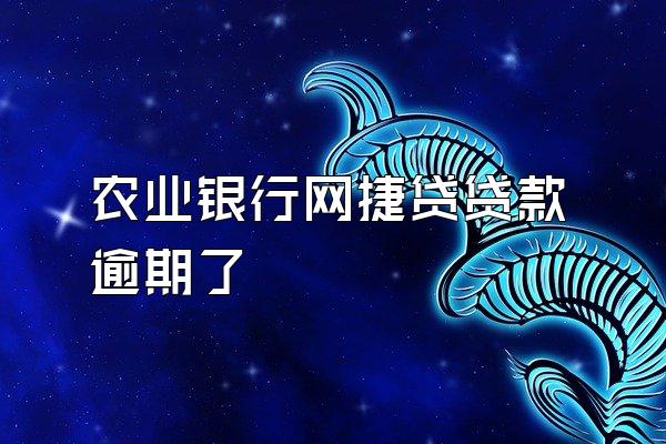 农业银行网捷贷贷款逾期了