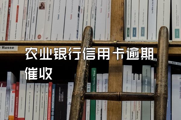 农业银行信用卡逾期催收