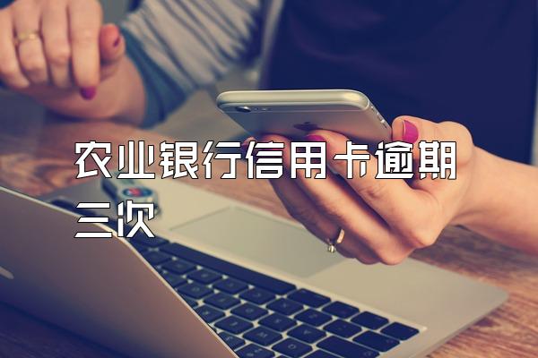 农业银行信用卡逾期三次