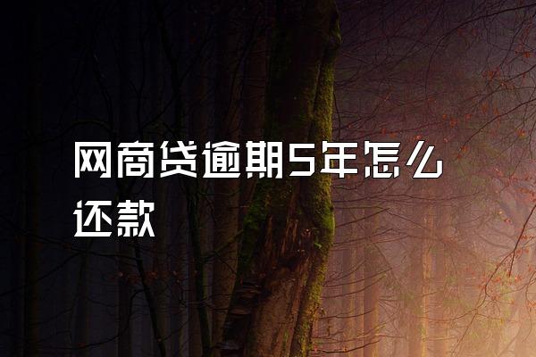 网商贷逾期5年怎么还款