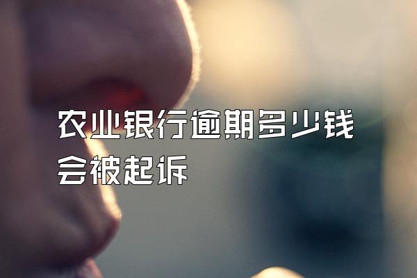 农业银行逾期多少钱会被起诉