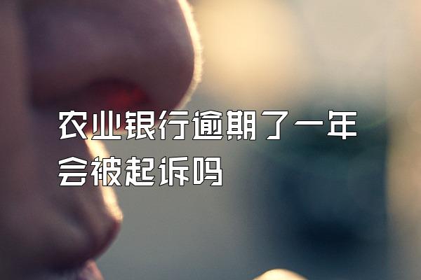 农业银行逾期了一年会被起诉吗