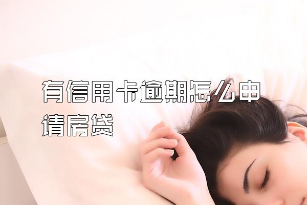 有信用卡逾期怎么申请房贷