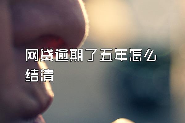 网贷逾期了五年怎么结清