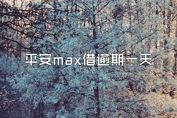 平安max借逾期一天