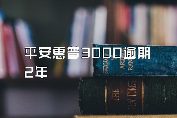 平安惠普3000逾期2年