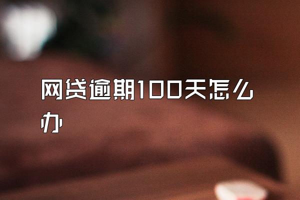 网贷逾期100天怎么办