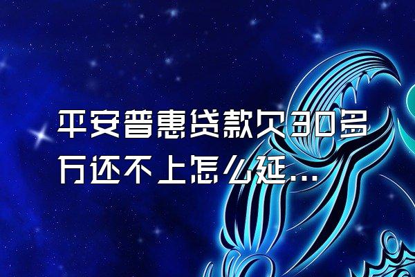 平安普惠贷款欠30多万还不上怎么延期还款