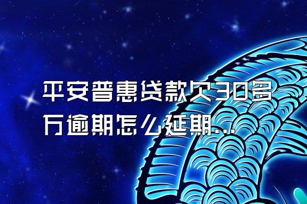 平安普惠贷款欠30多万逾期怎么延期还款