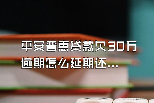 平安普惠贷款欠30万逾期怎么延期还款