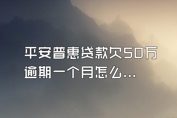 平安普惠贷款欠50万逾期一个月怎么延期还款