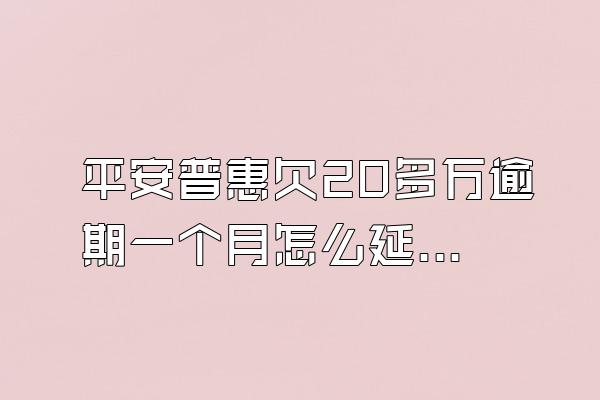 平安普惠欠20多万逾期一个月怎么延期还款