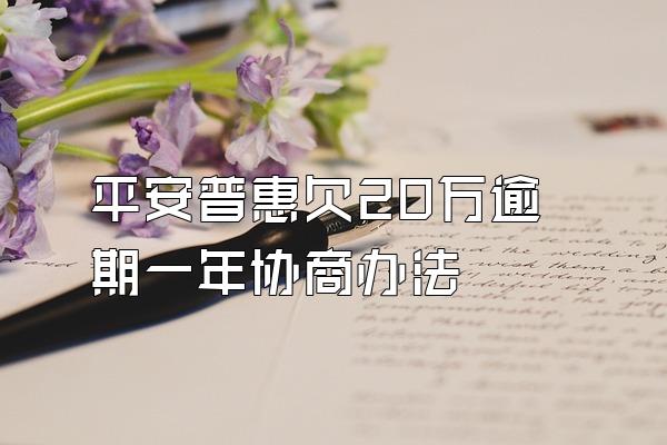 平安普惠欠20万逾期一年协商办法