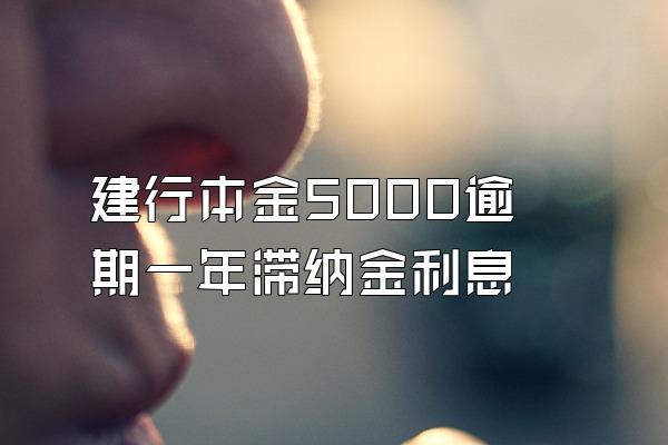 建行本金5000逾期一年滞纳金利息