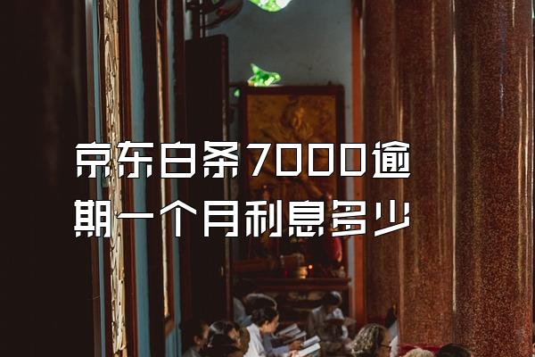 京东白条7000逾期一个月利息多少