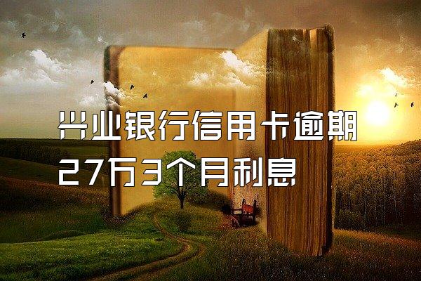 兴业银行信用卡逾期27万3个月利息