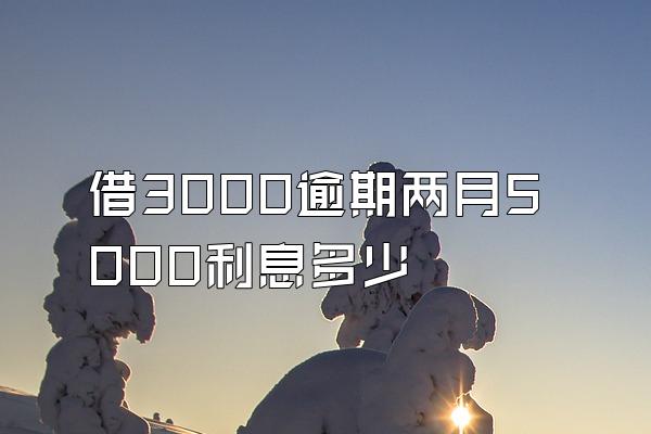 借3000逾期两月5000利息多少