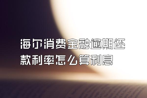 海尔消费金融逾期还款利率怎么算利息