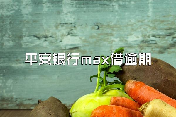 平安银行max借逾期