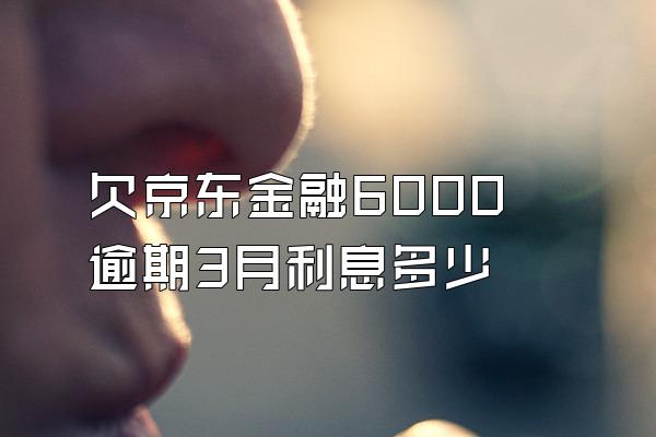 欠京东金融6000逾期3月利息多少