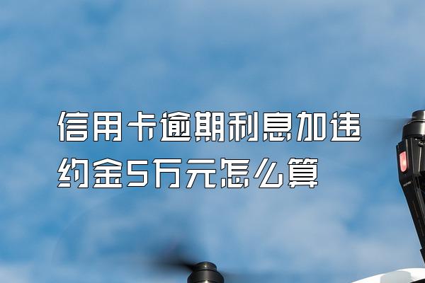 信用卡逾期利息加违约金5万元怎么算