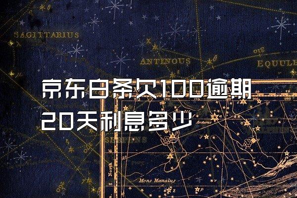 京东白条欠100逾期20天利息多少