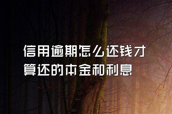 信用逾期怎么还钱才算还的本金和利息