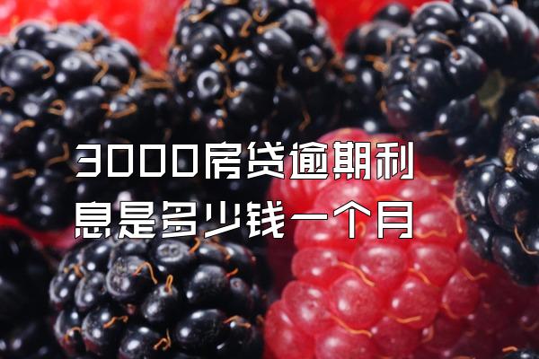 3000房贷逾期利息是多少钱一个月