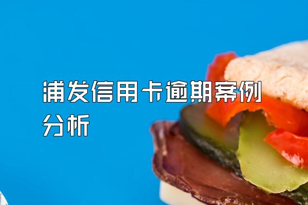 浦发信用卡逾期案例分析