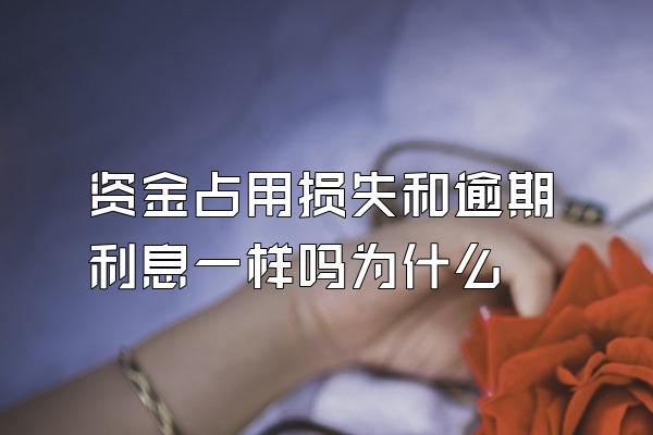 资金占用损失和逾期利息一样吗为什么