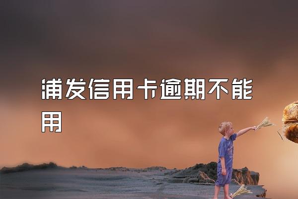 浦发信用卡逾期不能用