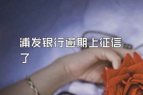 浦发银行逾期上征信了