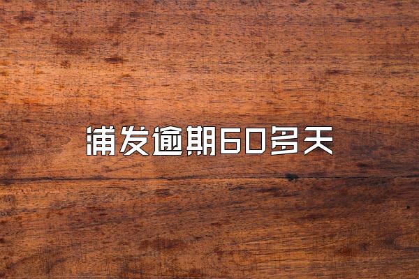 浦发逾期60多天