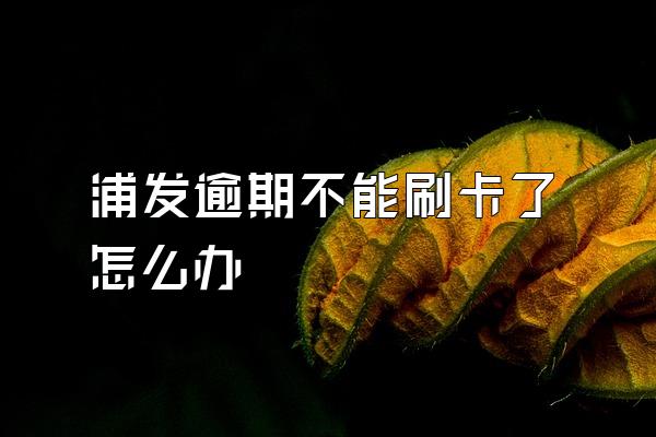 浦发逾期不能刷卡了怎么办