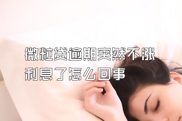 微粒贷逾期突然不涨利息了怎么回事