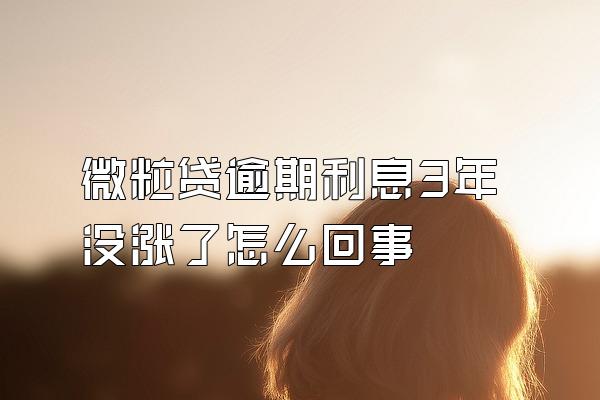 微粒贷逾期利息3年没涨了怎么回事