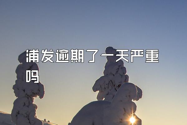 浦发逾期了一天严重吗