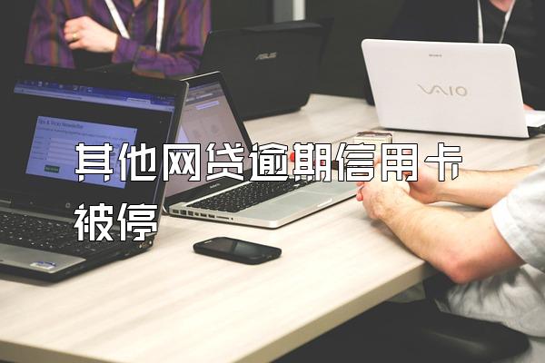 其他网贷逾期信用卡被停