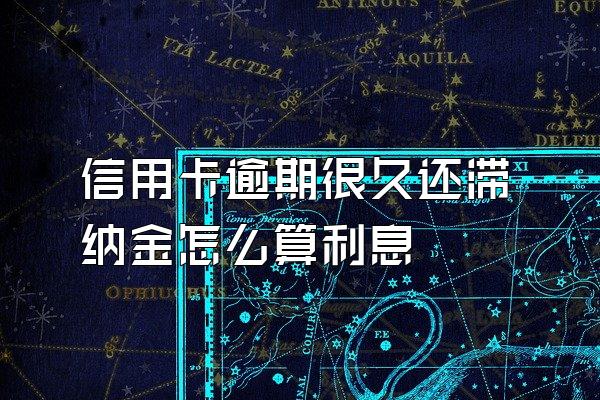 信用卡逾期很久还滞纳金怎么算利息